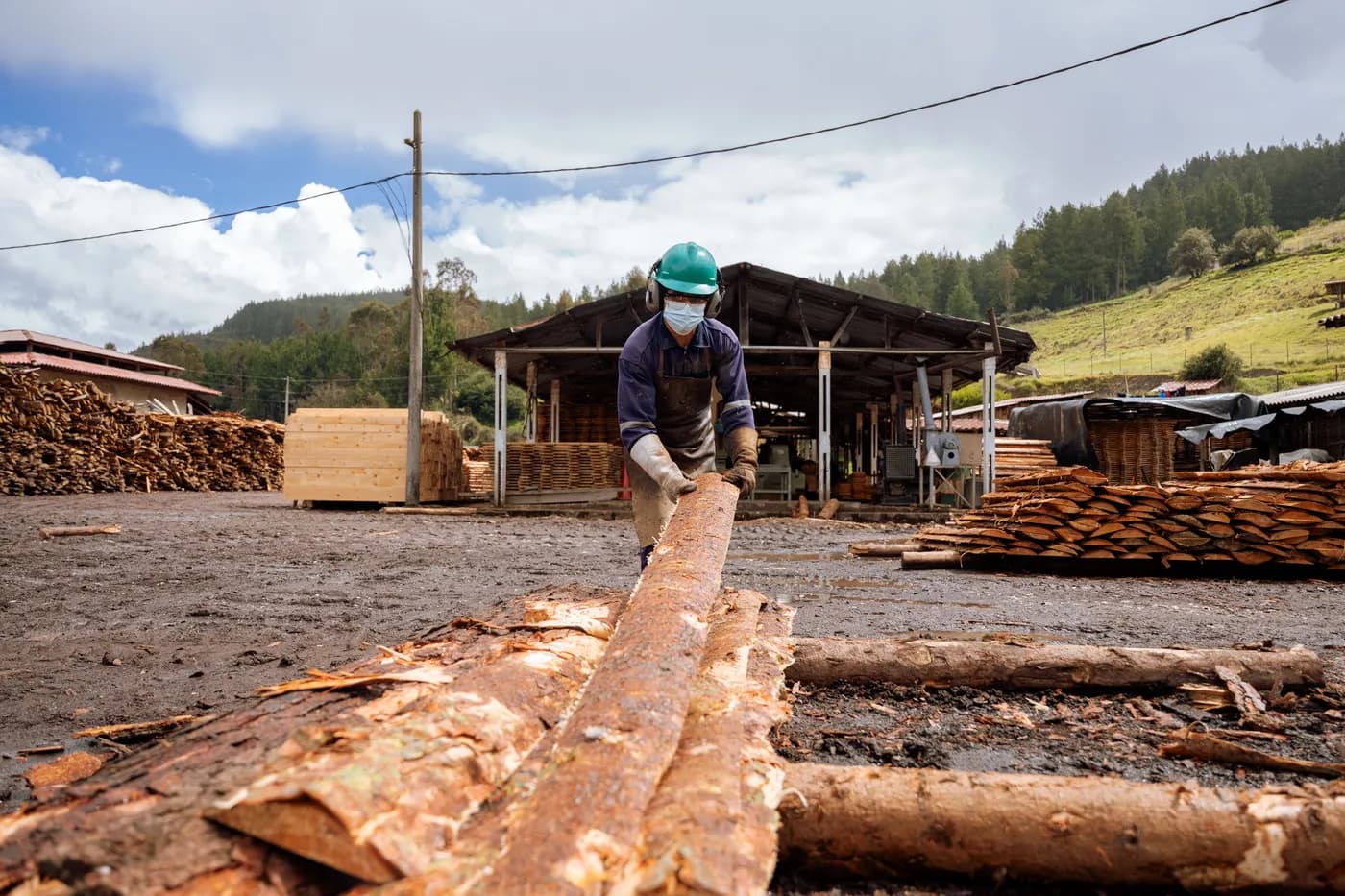 Industria Forestal 3